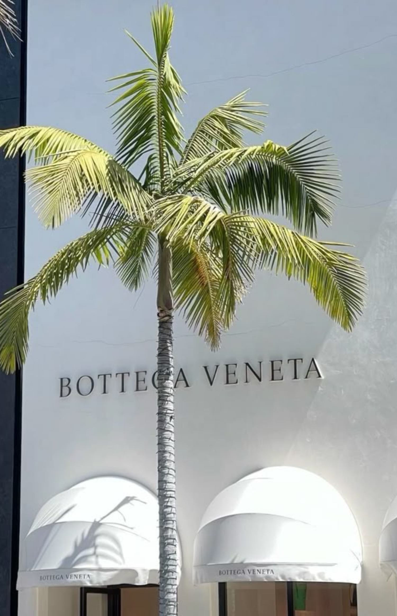 Bottega veneta