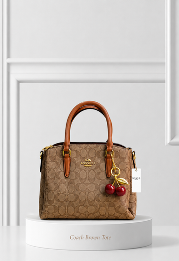 Coach Brown Tote
