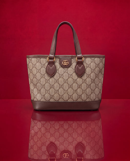 Gucci Ophidia Mini Marrón