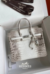 Hermès Birkin Crocodile leather